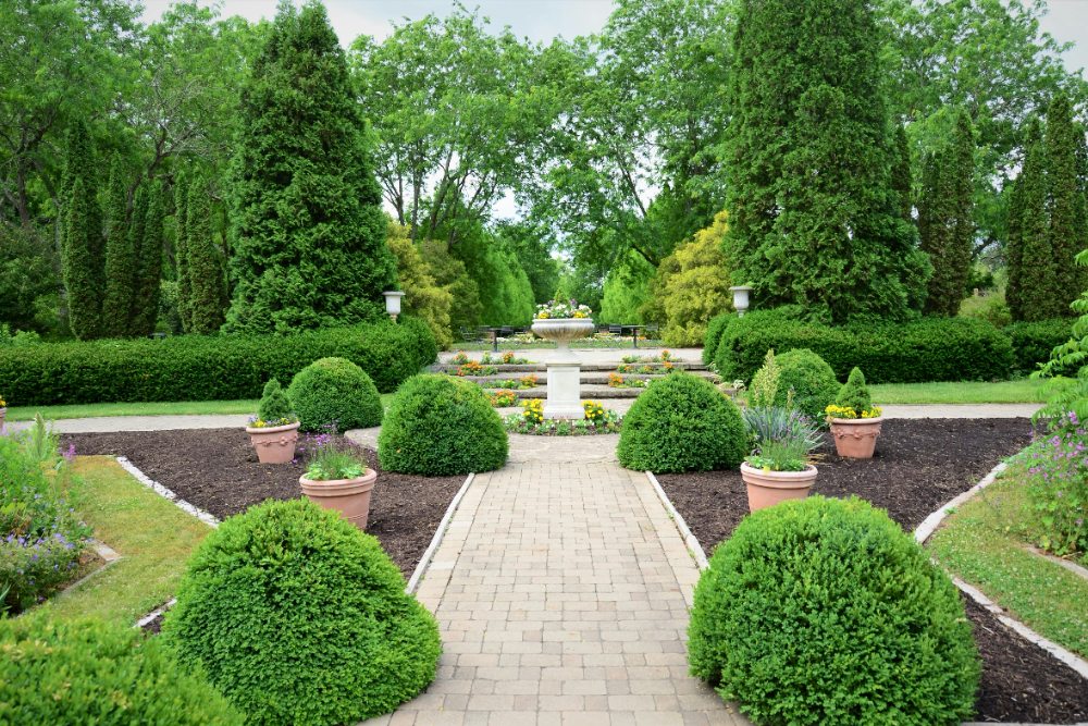 Landscape gardening and garden design project in Surrey